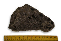 F 02540
<br/>
<br/>
<em></em>